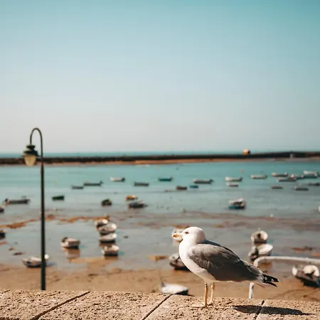 아파트 Hidden Gem Playa De Santa Maria By Apartmentsincadiz *