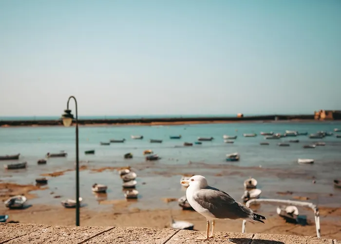 Appartamento Hidden Gem Playa De Santa Maria By Apartmentsincadiz *